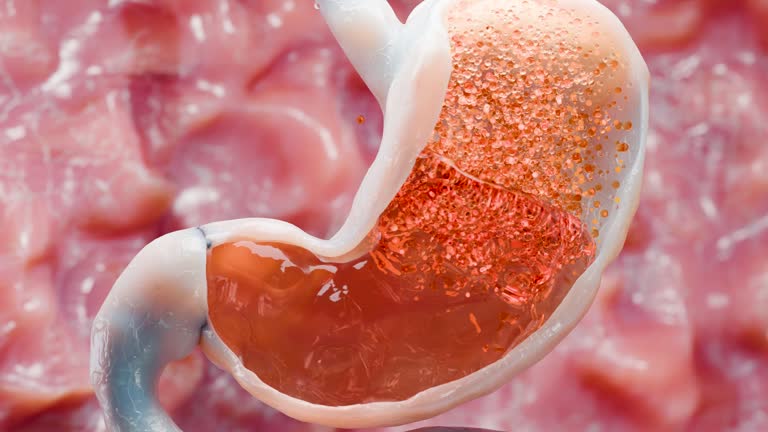 Gastric Motility
