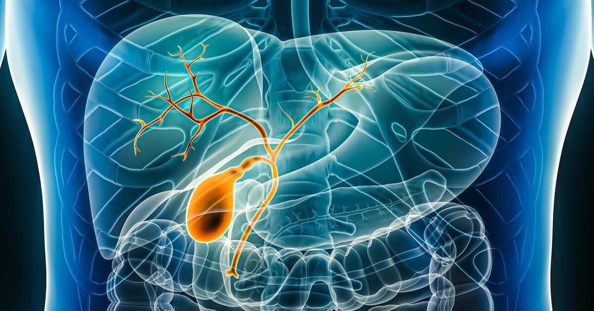 Bile Flow