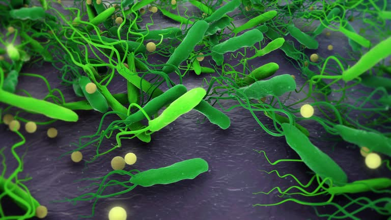 H. Pylori Defense